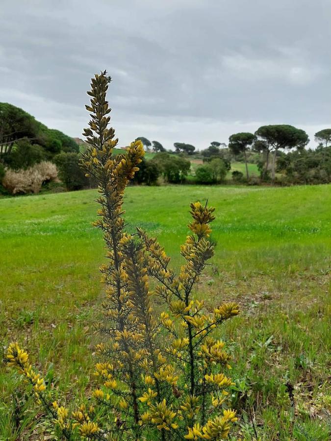 Casa Susana Sapataria Eksteriør bilde